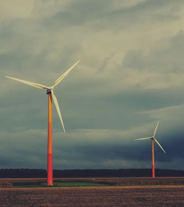 Commercial Generator Installation